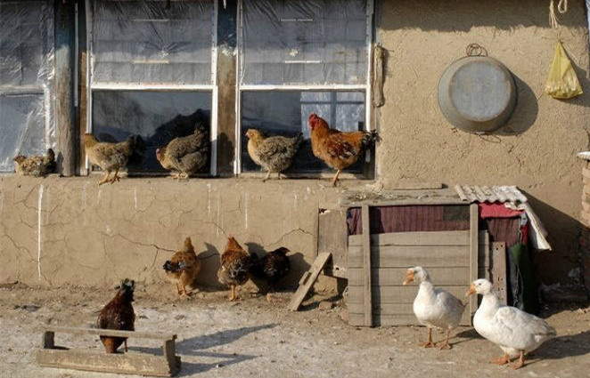 农村房子没户口怎么继承,没农村户口可以继承农村宅基地吗