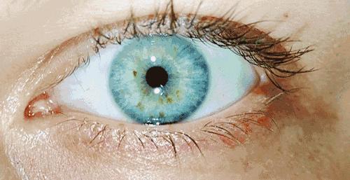 依思蕾面霜正品图片,法国依思蕾懒人面霜