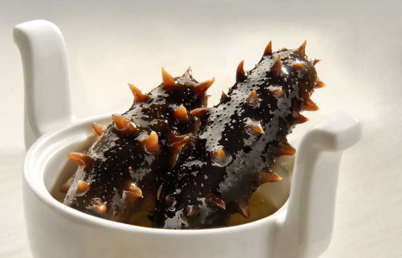 肺癌能吃海参吗,肺癌能吃海参吗海参能杀癌细胞吗