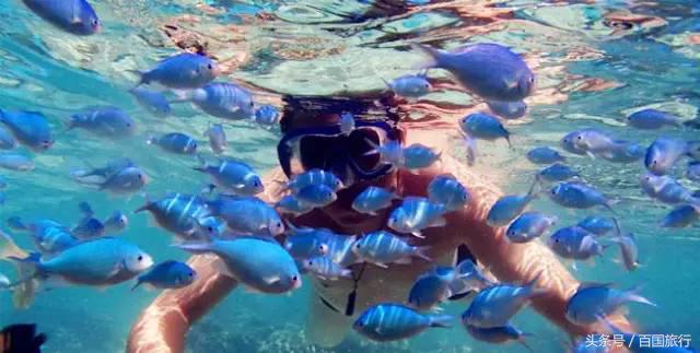 暑假适合去的免签海岛,最值得去的免签海岛