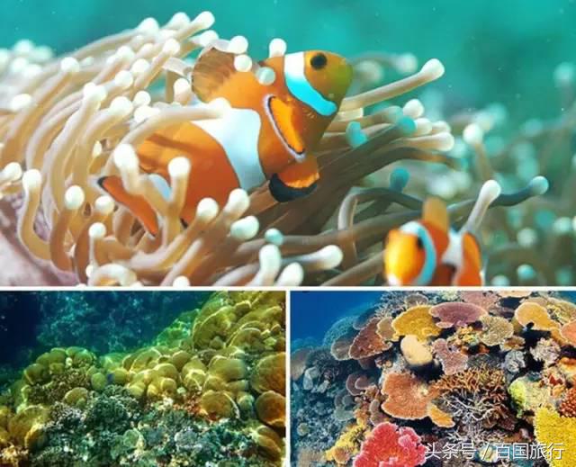 暑假适合去的免签海岛,最值得去的免签海岛