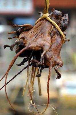 三明有没有好吃的啊,三明美食推荐必吃第一名