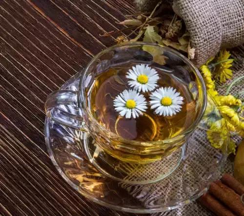 孕妇上火能喝菊花茶吗,孕妇上火可以喝蜂蜜菊花茶吗