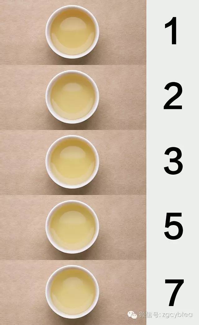 乌龙茶铁观音品质特征有哪些,铁观音茶叶品牌排名前十名是哪些