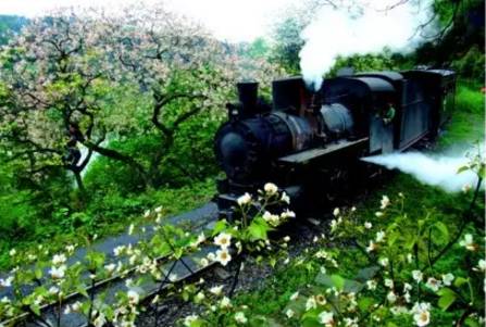 火车票预售几点抢,火车票开售前预约抢票流程