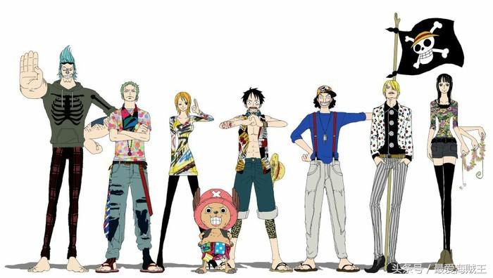 草帽海贼团11个成员,草帽海贼团11人
