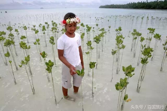 暑假适合去的免签海岛,最值得去的免签海岛