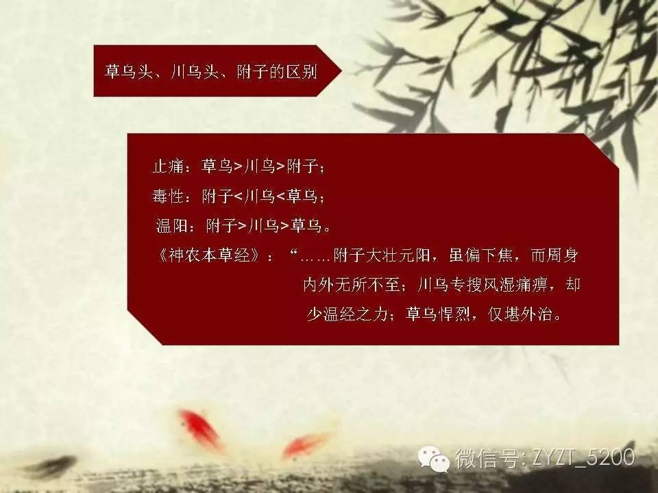 高鑫风湿医生,高鑫中医