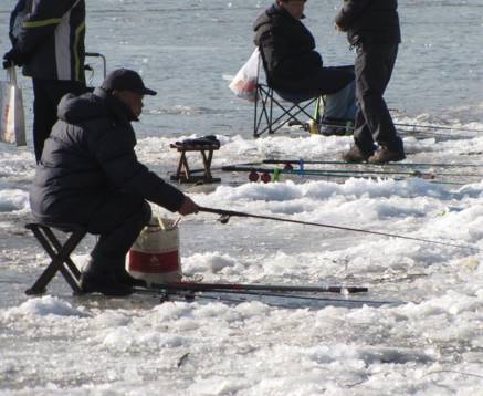 冰钓赛,冰钓赛事