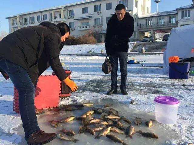 冰钓赛,冰钓赛事