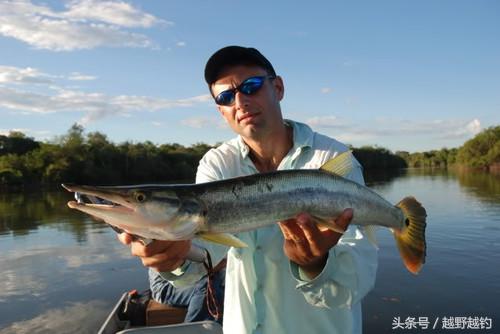 亚马逊钓鱼钓到最大的鱼,亚马逊钓到1吨的鱼