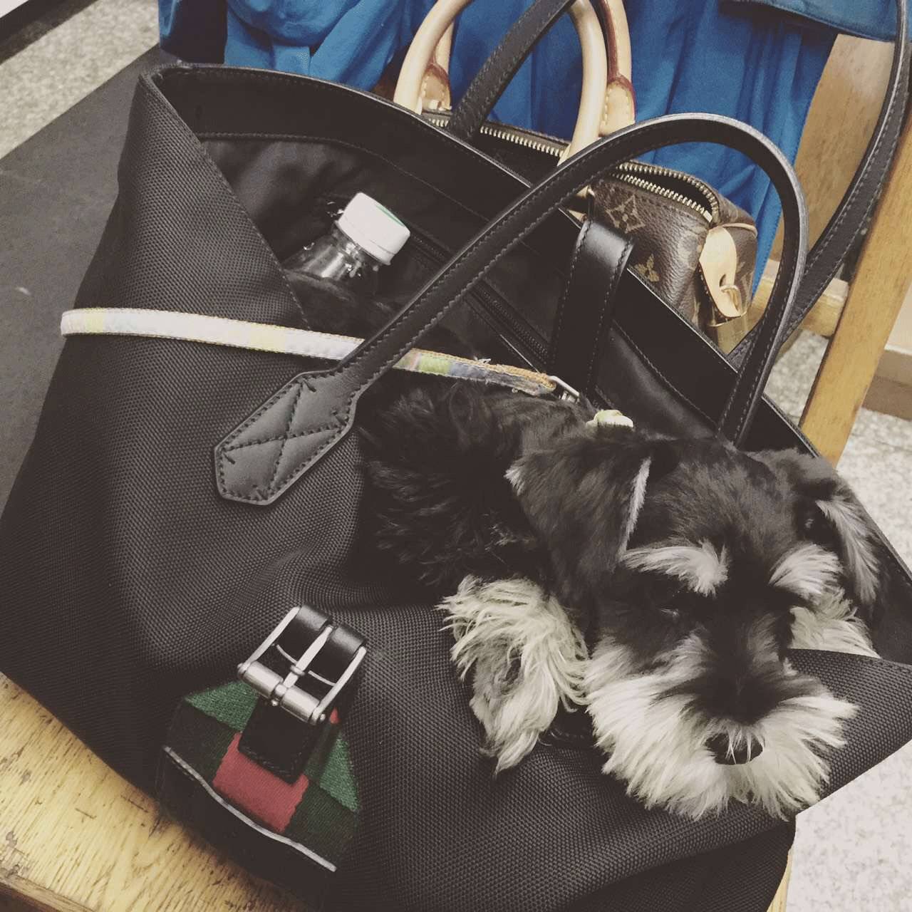 鸡汤吐槽,对于鸡汤的吐槽