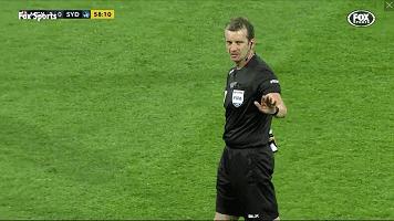 悉尼一只海鸥误入足球赛场，被一球打晕后，成了全场焦点……