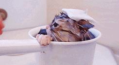 宠物吃辣条搞笑视频,什么宠物吃辣条会中毒