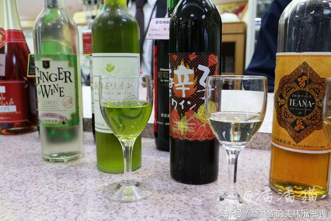 山阴山阳地区五县旅行线路指南