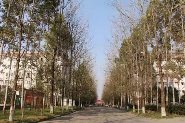 成都锦城学院大学最大食堂,川大锦城学院7个食堂