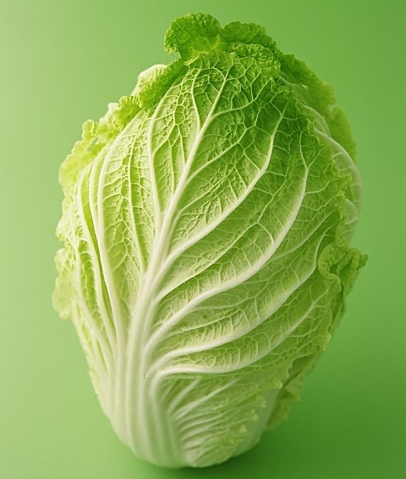 你今天吃“白食”了吗？大雪记得吃“白食”哦！为啥咧？！