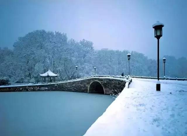 大雪丨白雪欲求吟咏句，穿枝掠院演梅花