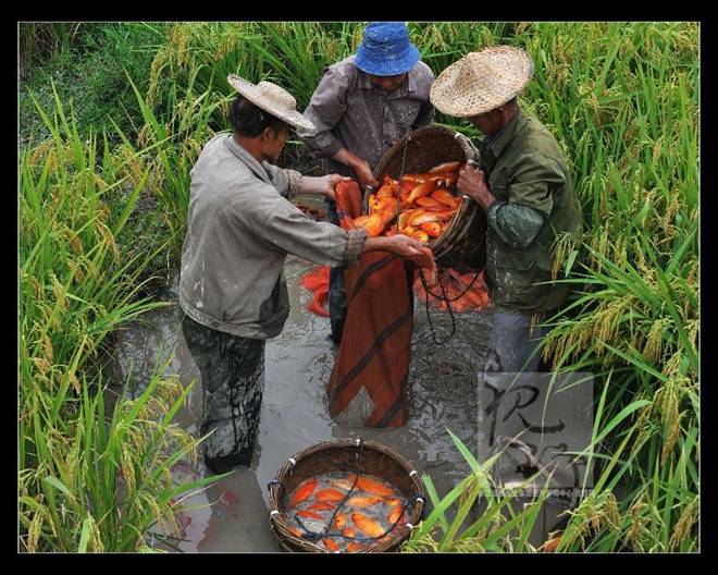 最美摩旅地方,国庆7天摩旅最美路线