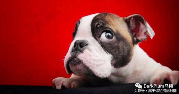 推荐一支正红色的唇釉,推荐一支淡色好看口红