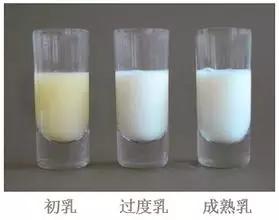 母乳的颜色为红色,母乳的颜色是黄色的怎么回事