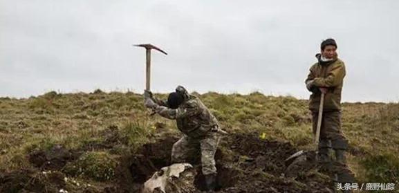 传奇国度的宝藏，从冻土中只要挖到1枚，几百万到手