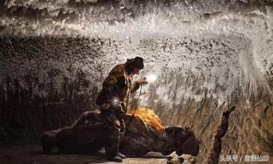 传奇国度的宝藏，从冻土中只要挖到1枚，几百万到手