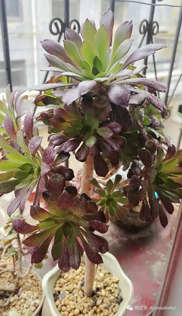 美好的时光带来快乐,美好的时光伴随着我