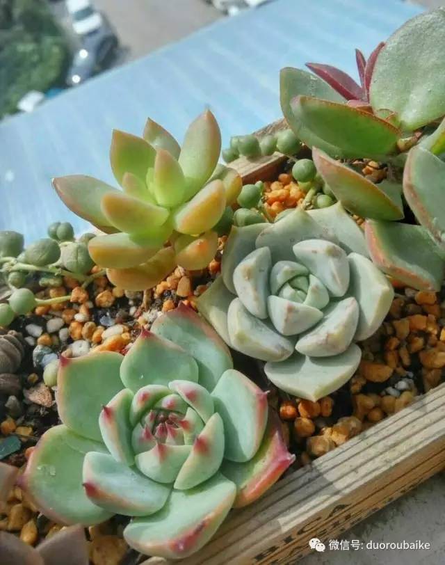 美好的时光带来快乐,美好的时光伴随着我