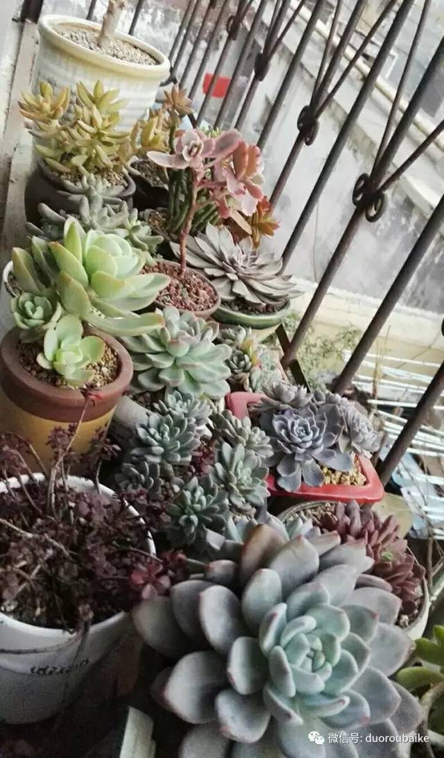 美好的时光带来快乐,美好的时光伴随着我