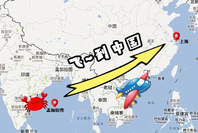 200多家分店的“神级BOSS”，凭一锅肉蟹煲刷爆全国朋友圈