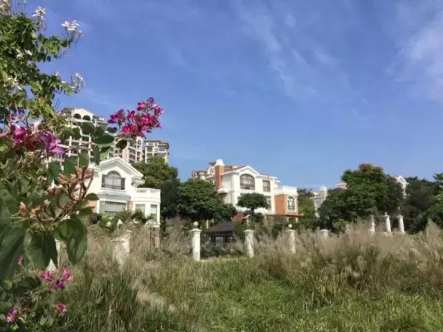 世界冠军专程助阵，为参赛球队提供总决赛球场最全攻略