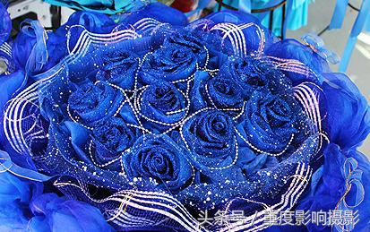 送你一束蓝色妖姬,送你一朵蓝色妖姬怎么回复