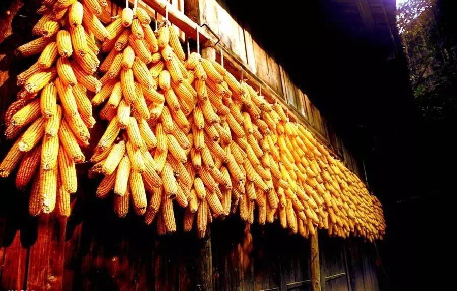 父亲的秋天现代文阅读,父亲的秋天阅读答案