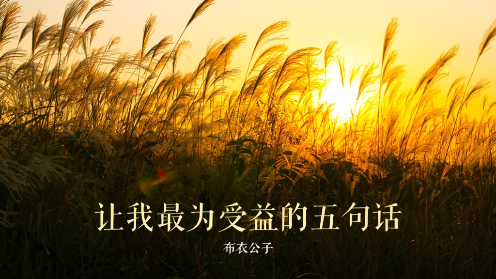 让我受益良多的句子,让我终身受益的一段话