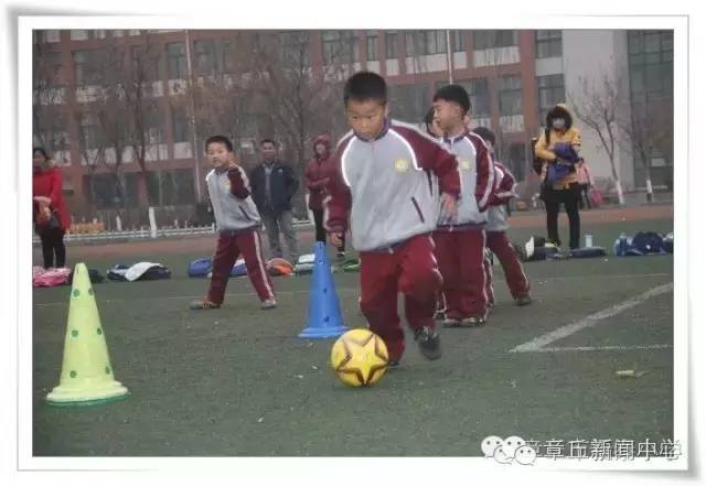 鲁能足校韩鹏,泰山鲁能助教韩鹏