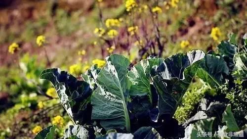 美食非常道最新一期,美食非常道现在叫什么