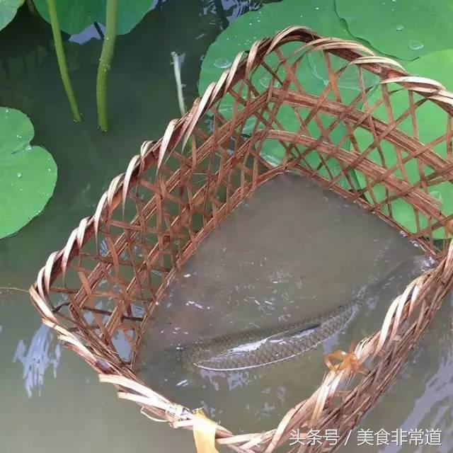 美食非常道最新一期,美食非常道现在叫什么