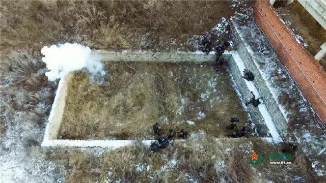 特战旅训练直播,特战特训营训练多久