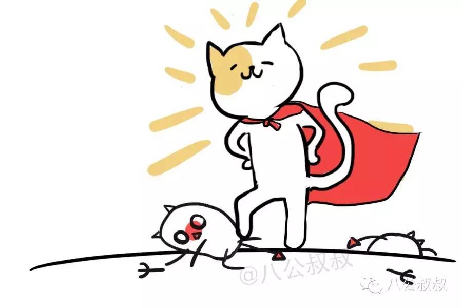 涨姿势·警惕！不感染猫咪，只感染狗狗的钩体病