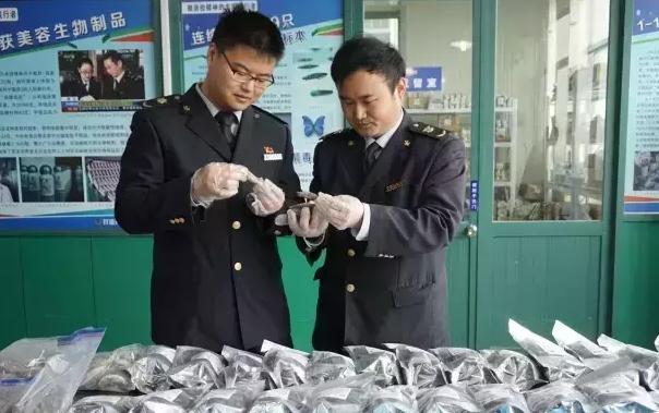 即食燕窝可以入境日本吗,花胶燕窝鲜贝海参进货渠道