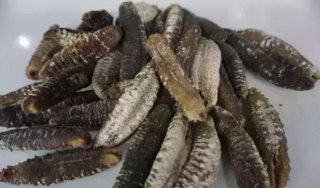 即食燕窝可以入境日本吗,花胶燕窝鲜贝海参进货渠道