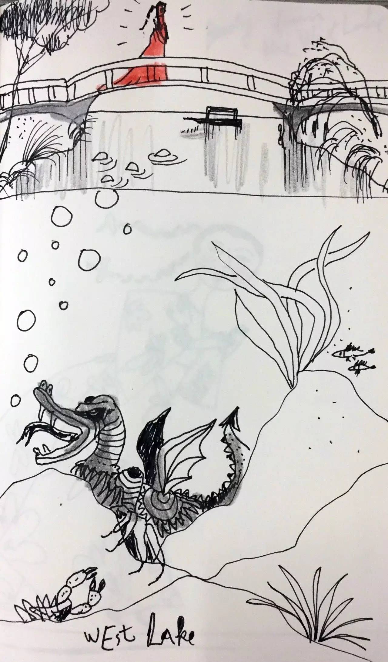 世界级大师薛蓝·约纳科维奇带你在小世界里寻找大世界