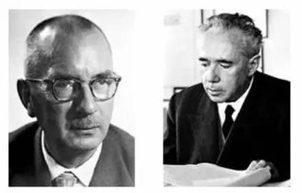 抓绒最高品质,抓绒的优缺点