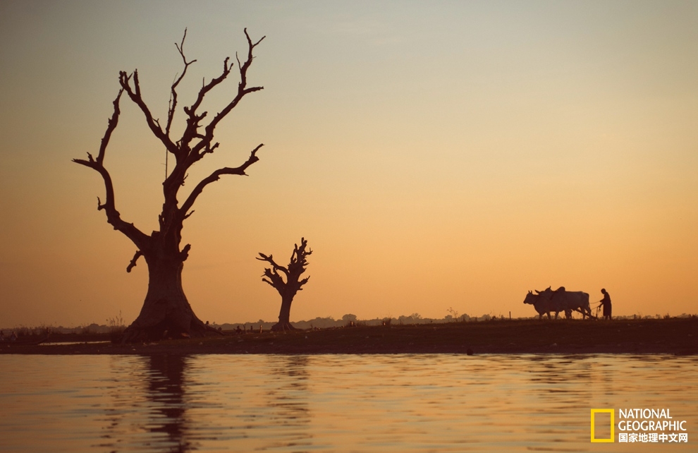 苦集灭道——金色缅甸追忆