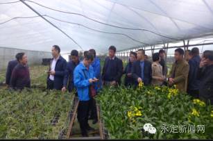 一喝牛奶肚子就不舒服怎么调理,为什么喝牛奶后肚子不舒服