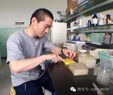 韩春雨事件对学术圈的影响,韩春雨事件最新研究成果进展