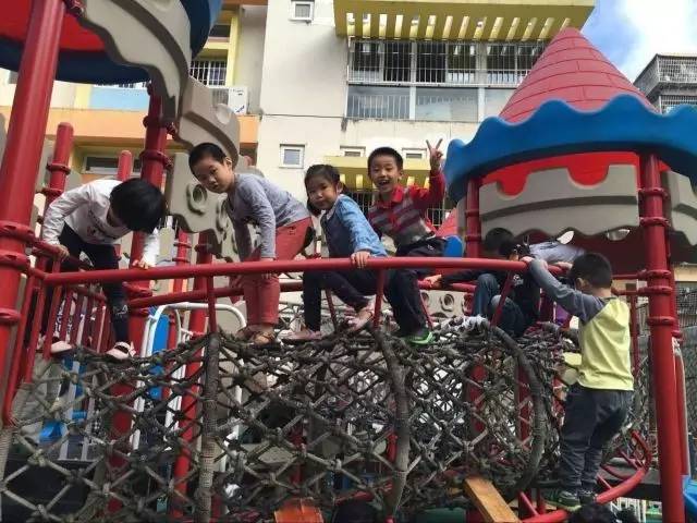 厦门湖里最美幼儿园,厦门湖里聪颖树幼儿园