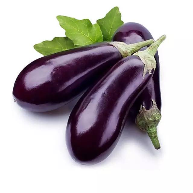 蔬菜种子识别图片,常见蔬菜种子认识