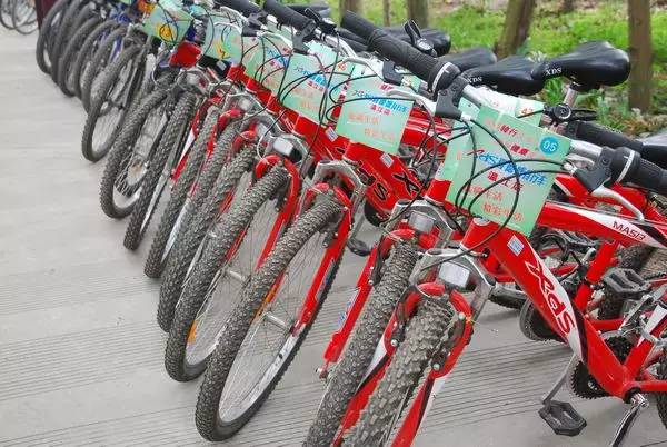 去温江有啥好玩的,夏季温江游玩景点有哪些